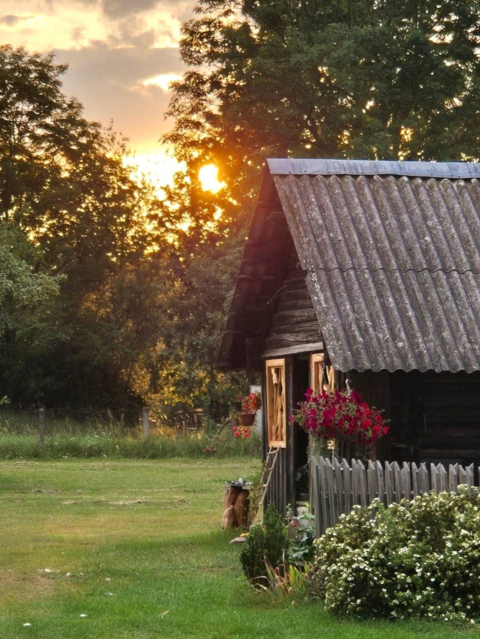 Vakaro šviesa