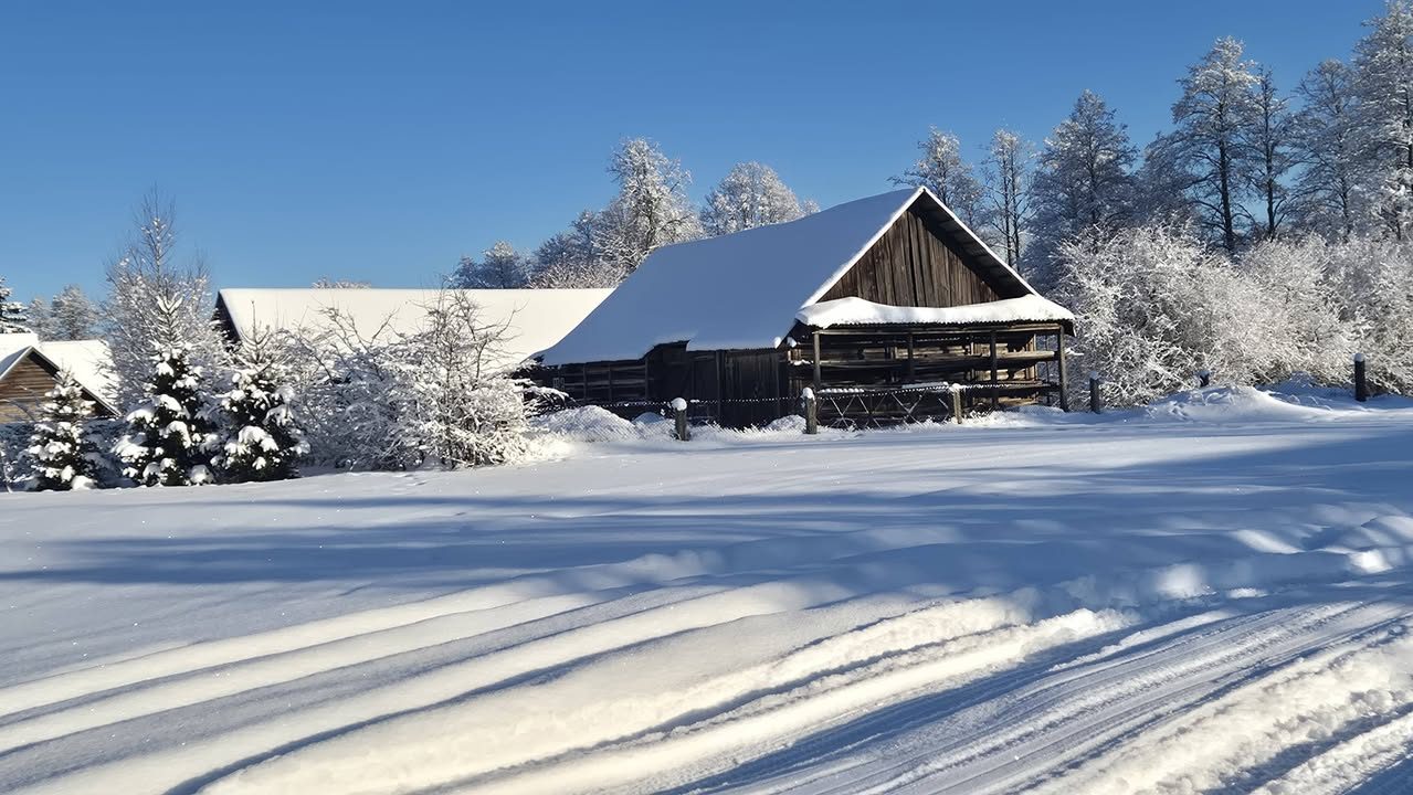 Daržinė po sniegu
